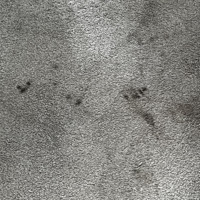 Guest review image 1 of 2, zoom in