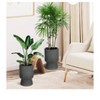 Set of 2 Self-Watering Planters (14") with drainage holes & water monitor. Perfect for patio, porch, living room, or home office. - 4 of 4