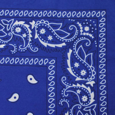 paisley royal blue