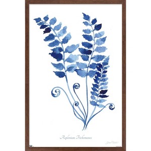 Trends International Jean Plout - Indigo Botanical Asplenium Trichomanes Framed Wall Poster Prints - 1 of 4