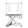 Electric Pet Grooming Table for Large Dogs with Adjustable,Height Heavy Duty Lift Double Arm and Loops - LAOTIES - 2 of 4