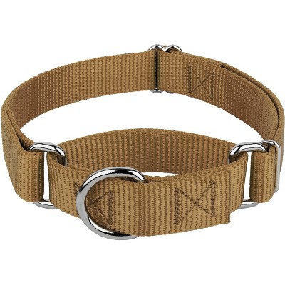 Country Brook Design Coyote Tan Martingale Heavyduty Nylon Dog Collar ...