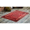 Evergreen Brown with Red Digitally-Printed Indoor/Outdoor Rug 4'x6' - 4 of 4