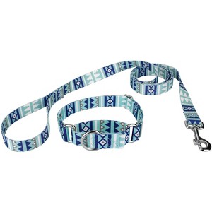 Country Brook Petz Snowy Pines Martingale Dog Collar and Leash - 1 of 4