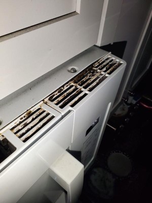 Guest review image 2 of 6, zoom in