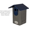JCS Wildlife Ultimate Bluebird House - Mounting Pole Bundles Available! - 3 of 4