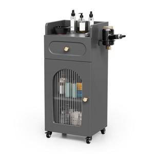 Karl Home Gray Wooden Mobile Salon Trolley Cart with Wheels and Glass Door and Dryer Holder - 1 of 4