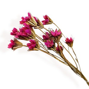 Alilang Decorative Dried Flower Stems for Home Decoration and Floral Arrangements, 15.5 Inches - 1 of 3