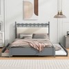 Queen Size Wooden Storage Platform Bed with 2 Big Drawers and Twin Size Trundle 4L - ModernLuxe - 2 of 4