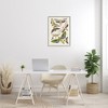 Stupell Industries Mixed Insects Moth Latin Studies Framed Giclee Art - 3 of 4