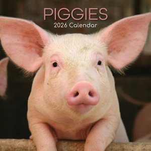 2026 Square Wall Calendar, Piggies, 16-Month Animals Theme with 180 Reminder Stickers (12x12 In) - 1 of 4