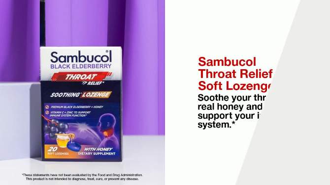Sambucol Black Elderberry Throat Lozenges with Vitamin C, Zinc and Honey - 20ct, 2 of 10, play video
