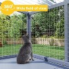 Sandinrayli Creating a Catio Paradise: Integrating Outdoor Cat Enclosures, Window Perches, and Wall Furniture for The Ultimate Cat Patio - 4 of 4