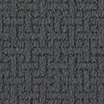 new england patriots