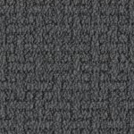 new england patriots