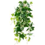 Northlight 31.5" Ivy Floral Artificial Hanging Spring Floral Bush - Green/White