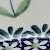 blue daisy