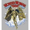 Men's Wonder Woman 1984 Golden Eagle Pull Over Hoodie - 2 of 4