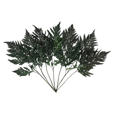 Vickerman 12-15" Fern Green Fern-Leatherleaf, 6 stems, Preserved