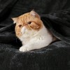 Queen Fleece Blanket, 90x90 Inches, Black, Soft Microfiber, Cozy Luxurious - 2 of 3
