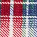 plaid multi