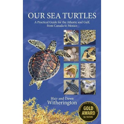 Our Sea Turtles - by  Blair Witherington & Dawn Witherington (Paperback)