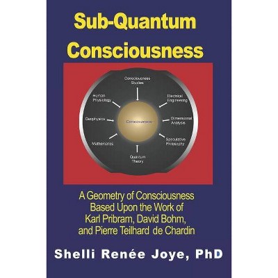 Sub-Quantum Consciousness - by  Shelli Renee Joye (Paperback)