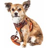 Pet Life Luxe Pawsh 2-In-1 Mesh Reversed Adjustable Dog Harness-Leash W/ Fashion Bowtie - 2 of 3