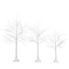 VisioGear Craft Activity Kits Set of Lighted Birch Tree, 4FT 48 LED/5FT 72 LED/6FT 96 LED Artificial Tree with Warm Lights, White, 46.85"*9.45"*5.12" - 3 of 4
