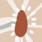 mahogany