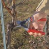 FELCO 12, Ergonomic Rotating Handle Forged Aluminum Hand Pruner, Medium Right Hand, Swiss Made - 3 of 4