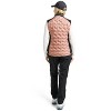 Women's Wo Grove Hybrid Vest - Abacus Sportswear US - 2 of 4