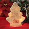 Stony Creek 8.75 In Soft Winter Christmas Tree Christmas  Snowy Scene Novelty Sculpture Lights - 3 of 3