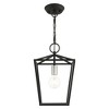Livex Lighting Devonshire 1 - Light Pendant in  Black - 3 of 4