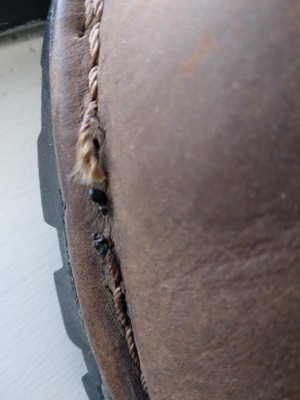 Guest review image 2 of 3, zoom in