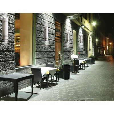 Cilindro Brushed Steel 12" Dimmable LED Outdoor Wall Light