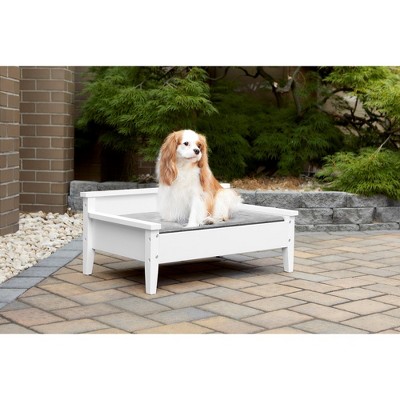White Wooden Elevated Pet Bed with Water-resistant Mattress