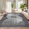 Acekool Modern Geometric Area Rug, Washable Non Slip Low Pile Ultra Thin Stain Resistant Carpet for Living Room Bedroom Dining - 2 of 4