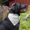 Pavilion Gift Company - I'm So Pawsome - 12" x 8" Canvas Slip on Pet Bandana - Pet Toy - 2 of 4
