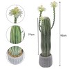 Artificial Cactus Plant  Fake Cactus Potted Plant with Planter for Home Garden Office Indoor Outdoor Decoration Faux Desert Cacti - 2 of 4