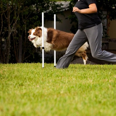 Adjustable White Plastic Dog Agility Training Bar Jumps Set
