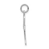 Black Bow Jewelry 14k White or Yellow Gold Textured Ankh Cross Pendant, 12 x 28mm - 2 of 4