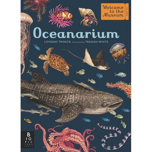 Oceanarium - (Welcome to the Museum) by Loveday Trinick (Hardcover)