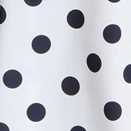 paint dot