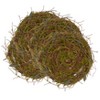 Saro Lifestyle Wilderness Oasis Twig and Moss Placemat (Set of 4), 15", Green - 3 of 4