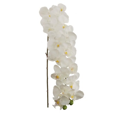 Floral Home 49" White Phalaenopsis with 16 Flowers - 6-Piece