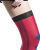 Bioworld DC Comics Harley Quinn Women's Sheer Costume Tights - 3 of 4