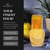 Bruno Magli Bubble Carafe 2-Piece Set Drinking Glass Tumbler Doubles as a Lid, Water Pitcher with Matching Cup, Gift Boxed, Amber - 3 of 4