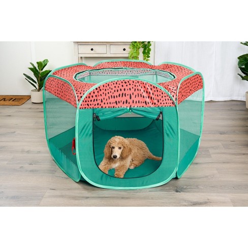 Pet playpen target best sale