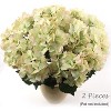 Floral Home 20" Green Pink Hydrangea Bush - 6-Piece - 2 of 3